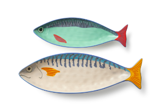 Something Fishy 3-D 2pc Fish Platter
