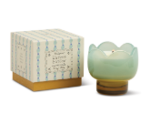 Tulip 5.5oz Glass w/Printed Box