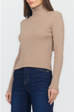 Arlen Turtleneck Sweater