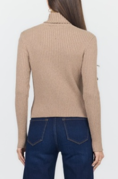 Arlen Turtleneck Sweater